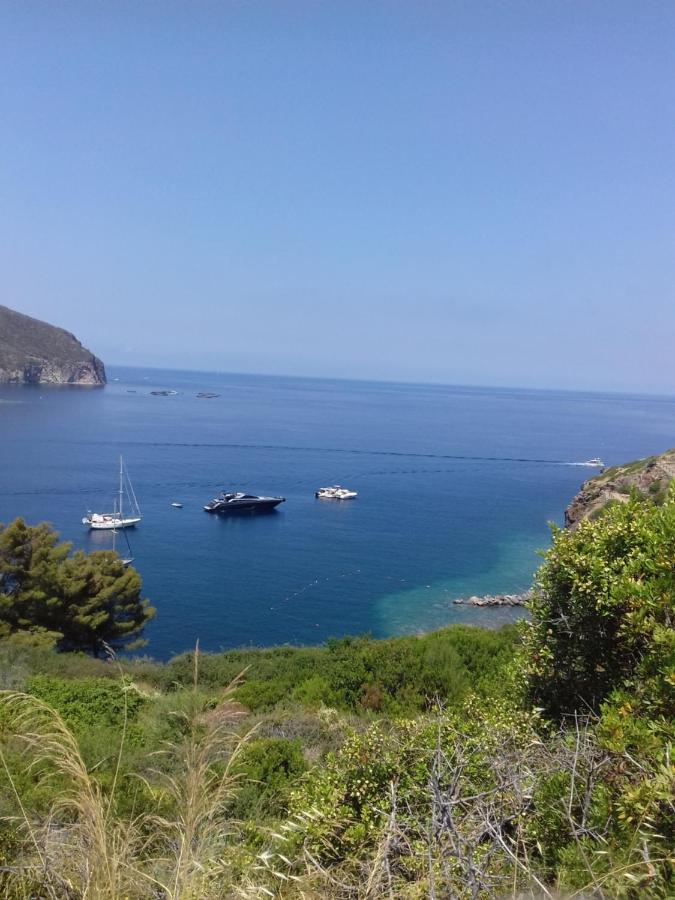 Apartment Voglia Di Mare *