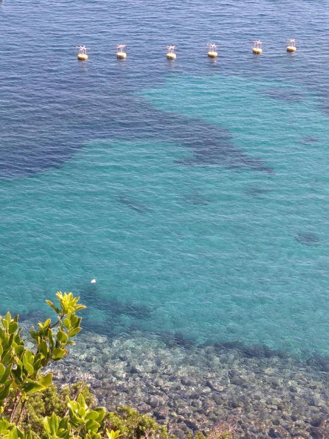 Voglia Di Mare Apartment