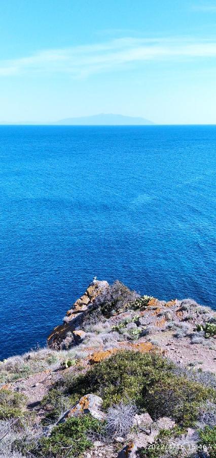 Voglia Di Mare Apartment *