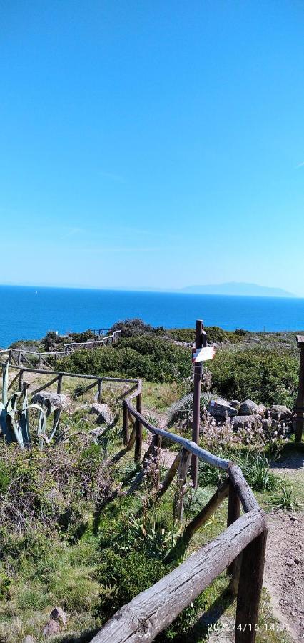 Voglia Di Mare *